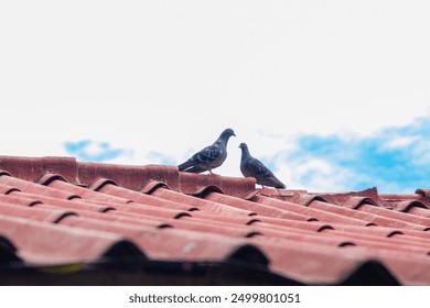 Two pigeons perched on a red tiled roof against a backdrop of a bright blue sky with scattered clouds. - Powered by Shutterstock