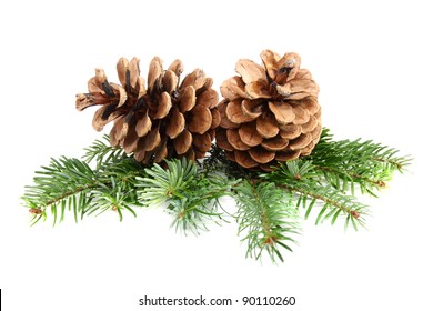 Two Pine Cones With Branch On A White Background.