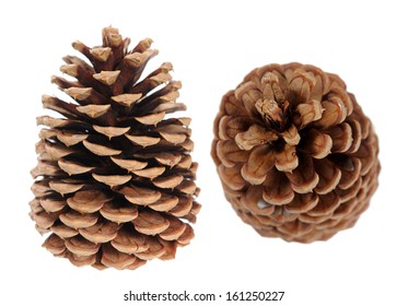 Two Pine Cones Isolated On White 