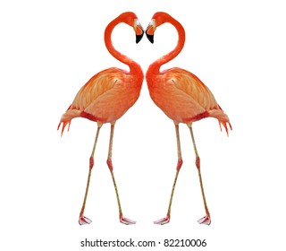 Two Pink Flamingo Making Heart With Necks