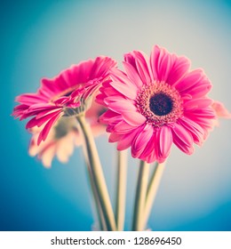 Two Pink Flowers - Shutterstock ID 128696450