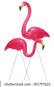 Two pink plastic flamingoes on white background
