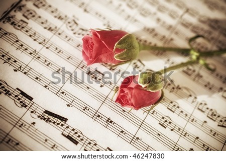 Two Pink roses on sheets of musical notes close up