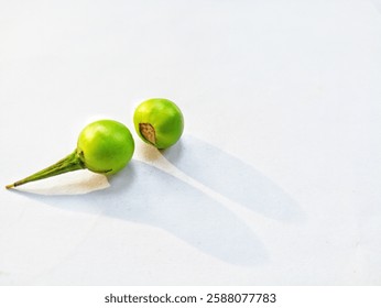 Two plants whose fruit and seeds are used as vegetables or spices on a white background
