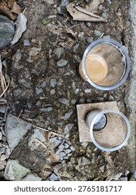 Two plastic cups with leftover coffee on rocky, mossy ground, giving a sense of abandonment.