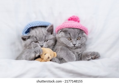 Two playful kittens wearing warm knitted hats lying with toy bear together on a bed under warm white blanket at home.  Top down view - Shutterstock ID 2177148155