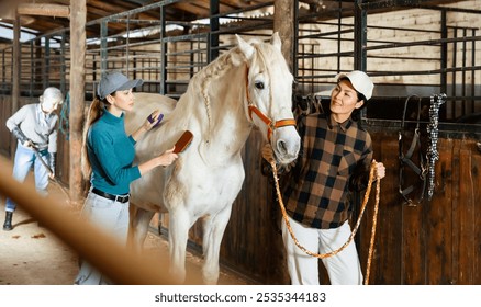 Two positive female workers grooming white racehorse in stable, brushing after riding. Animals care. Equestrian business concept - Powered by Shutterstock