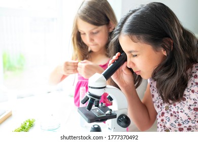 152 Analyze preteen Images, Stock Photos & Vectors | Shutterstock