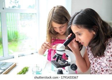 152 Analyze preteen Images, Stock Photos & Vectors | Shutterstock