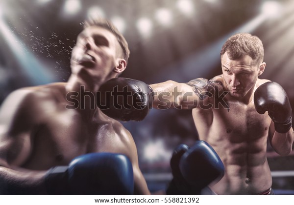 toy boxers in ring