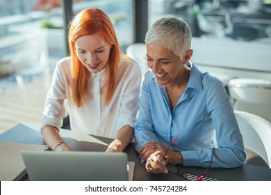 Two Professional Women Working On Project Stock Photo (Edit Now) 745724284