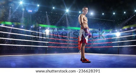 Two professionl boxers are fighting on the grand arena panorama view