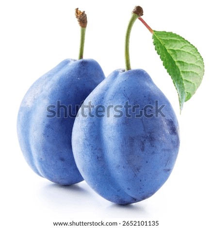 Two prune plums with green leaf on white background. File contains clipping paths.