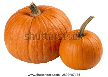Two Pumpkins Isolated on Transparent Background