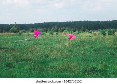 Two purple kites hover over a green meadow near a forest, tied to branches with strings