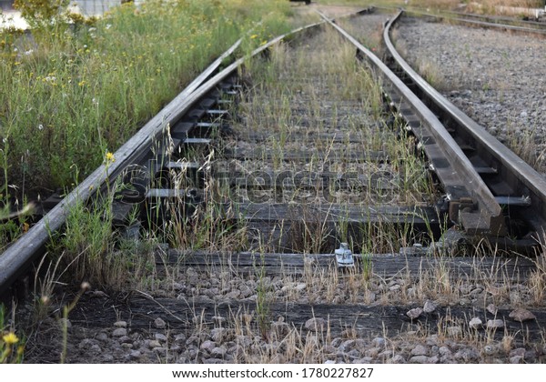 Two rail tracks with rail sleepers at the point of\
railway switch in the grass on the board of the river. Switch of\
two railway lines with sleepers covered by loose chippings and\
overgrown by grass