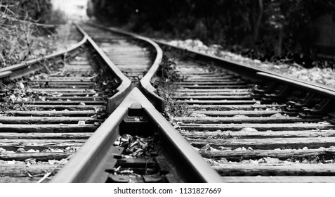 Two Railway Tracks Merge Together.