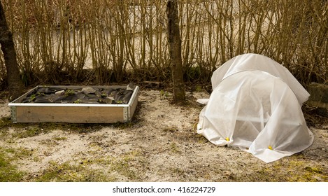 Two Raised, Elevated Garden Beds Early Spring.  One Is Covered With White Quilt Cloth For Protection.  The Other One With Strawberry Plants Is Without Cover.