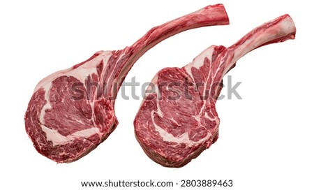 Two raw fresh tomahawk ribeye steaks with long bones