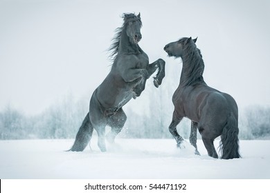 Two rearing horses.