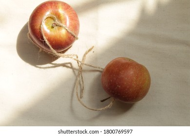 Two Red Apples Tied Together With Rope