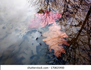 Two red and orange leaves sunken in a puddle