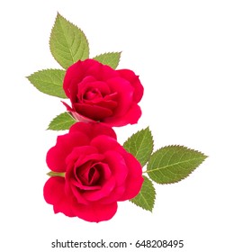 Two Red Rose Flowers Isolated Leaves Stock Photo 648208495 | Shutterstock