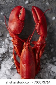Two red steamed Maine lobsters on ice