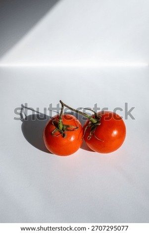 Two red tomatoes connected by a green vine, shining in the sun on a white background.