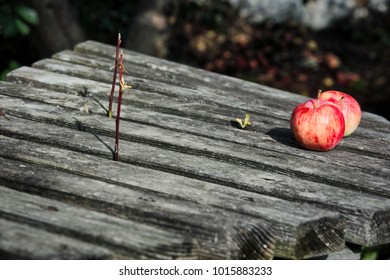 Two red-and-yellow apples on an old wooden bench in a country garden.
