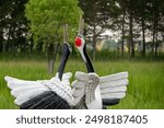 Two Red-crowned Cranes sculptures face each other, their beaks nearly touching, with outstretched wings.