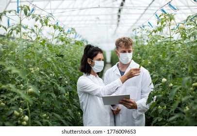 Two Researches Man And Woman Examine Greenery With A Tablet In An All White Greenhouse