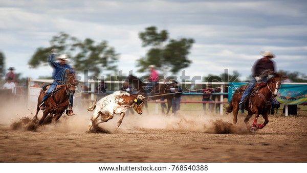 Two Riders Roping Calf Country Rodeo Stock Photo (Edit Now) 768540388