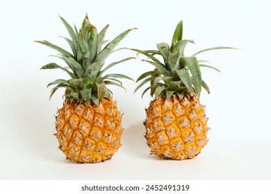 Two ripe pineapples are placed side by side, their rough