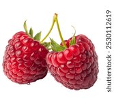 Two ripe raspberries with green stems attached, positioned side by side, white background