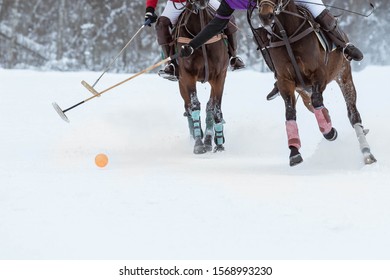 Two Rival Players In Horse Polo Riding A Horse With A Hammer In Their Hands Hit A Red Ball. Snow From Under The Hooves. Horses Legs Are Protected From Club Impact. Winter Field With Snow