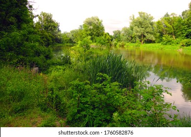 Two Rivers Merge Into One Common River In Beautiful Nature