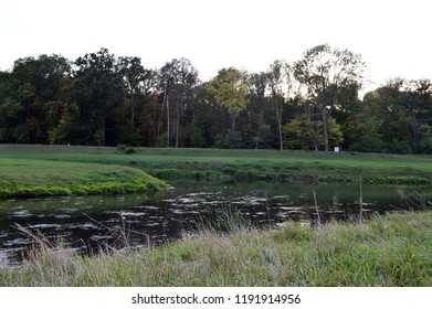 Two Rivers That Merge, With Meadow And Trees