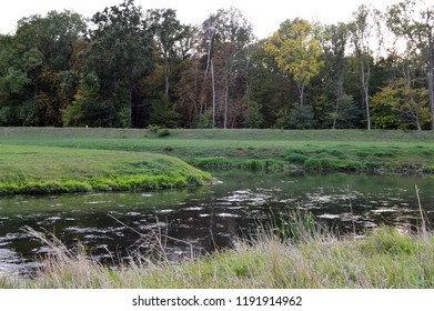 Two Rivers That Merge, With Meadow And Trees