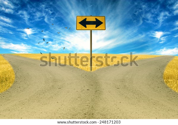 two roads, road sign ahead with arrows blue\
sky background. Countryside landscape\

