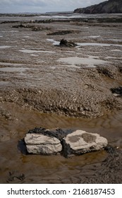 Two rocks in front of sinking sad thick mud on a British beach