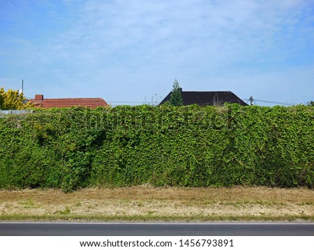 heavily overgrown building, of which only the roof is still visible