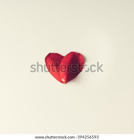 Two rose petals in a heart shape on white background. Flat lay