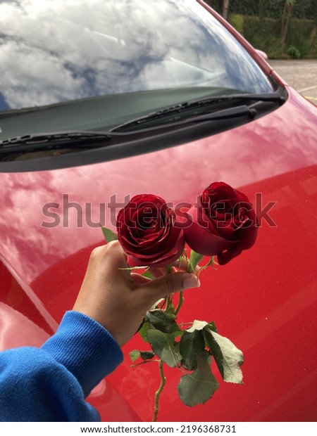 Two roses, plants and red\
car