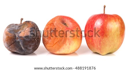 two rotten and one good apple isolated on white background
