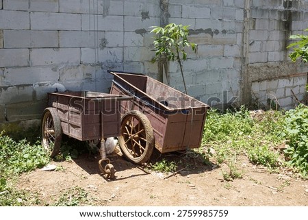 Two rusty-brown old iron carts were parked in front of a cinder-block wall. Around them were grass and climbing trees, creating an abandoned atmosphere.                               
