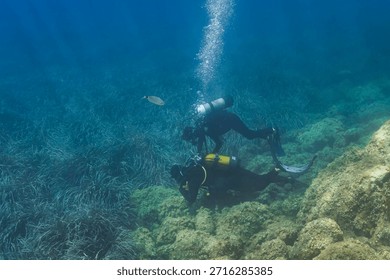 Two scuba divers exploring the underwater marine life and seagrass meadows in the Mediterranean Sea at Saint-Jean-Cap-Ferrat, French Riviera, France.