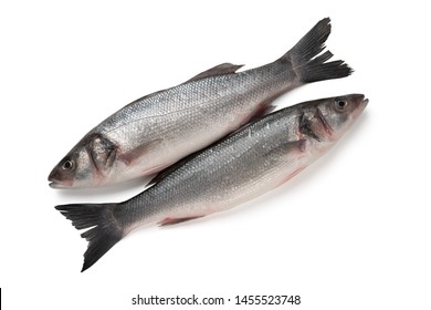 Two Sea Bass Fish Isolated On White Background