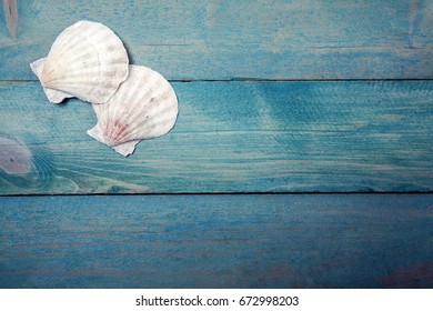 Two sea shells on old, blue wooden background