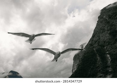 Two seagulls fly gracefully through a cloudy sky beside a towering steep cliff in Norway.